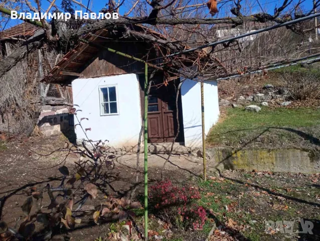 Продавам къща село Плешивец област Видин, снимка 3 - Къщи - 48145269