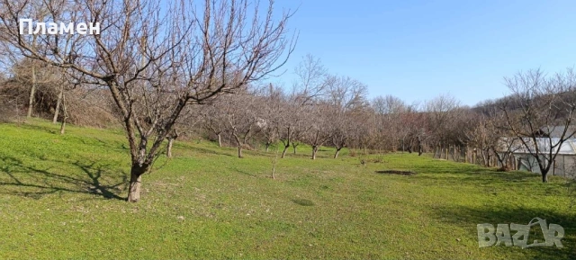 Парцел - с.Калипетрово, снимка 4 - Парцели - 53505180