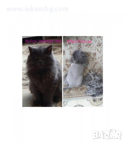 БЕЗЖИЧНА МАШИНКА ЗА ПОДСТРИГВАНЕ НА ДОМАШНИ ЛЮБИМЦИ BAORUN - код P22, снимка 4 - Други стоки за животни - 34011782