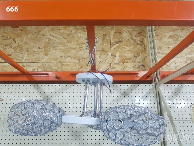 Полилей, снимка 3 - Полилеи - 39634816