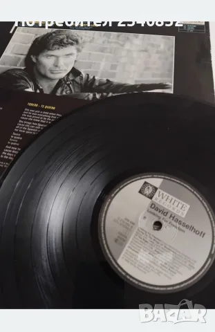 Касети и Vinil наDavid Hasselhoff , снимка 8 - Аудио касети - 56132633
