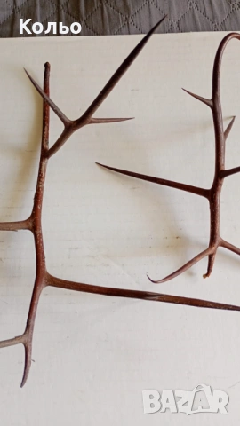 Бодли от дърво за декорация, снимка 2 - Декорация за дома - 53702904