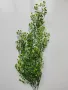 Изкуствени висящи растения, снимка 2