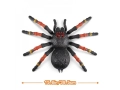 НОВИ! Голяма тарантула робо играчка гигант 38.5 см, снимка 6