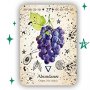 Green witch oracle cards Карти Таро, снимка 9