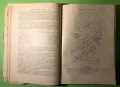 Стара Книга Анатомия ма Човека /Rauber Kopsch, снимка 6