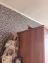 Поен мъжки папагал , снимка 10