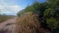 Имот в зона за жилищно застрояване село Огняново, снимка 5