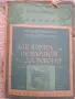 Как хората се научили да говорят, снимка 1