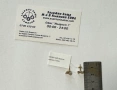 Златни Обеци 1.32гр, снимка 3