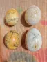Колекция Четири Големи Мраморни Яйца Мраморно Яйце, снимка 1