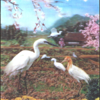 Стерео 3D картичка Пролет Фауна Птици 1978 от Япония, снимка 1 - Филателия - 44685306