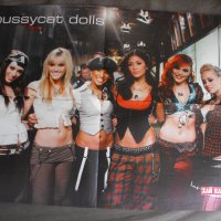 Плакат, снимки на: Pussycat Dolls, Димитър Бербатов.., снимка 1 - Колекции - 41436353