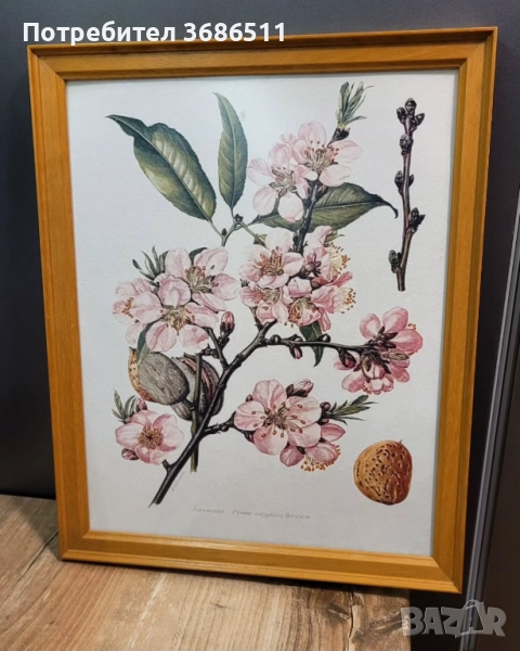 Винтидж принт в дървена рамка, снимка 1