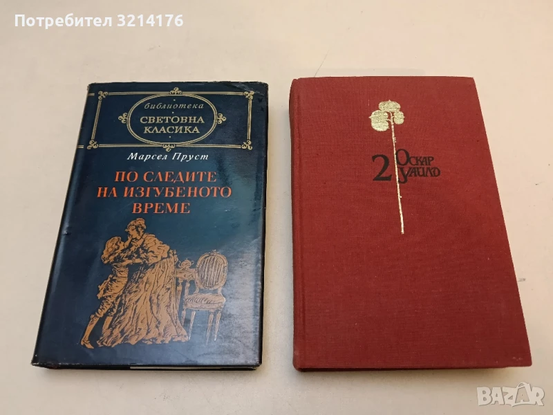 По следите на изгубеното време. Пътуване към Суан - Марсел Пруст, снимка 1