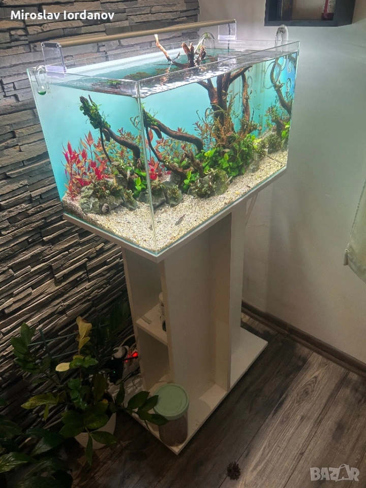 Аквариум с шкаф пълен сет, снимка 1