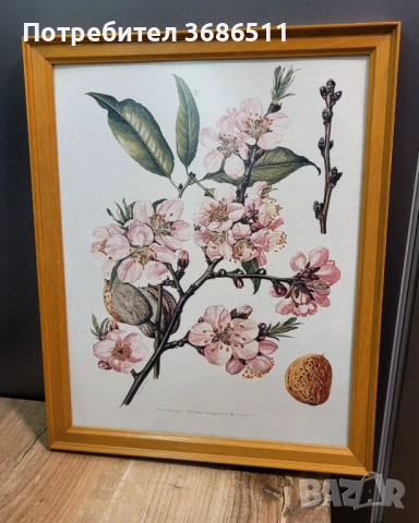 Винтидж принт в дървена рамка