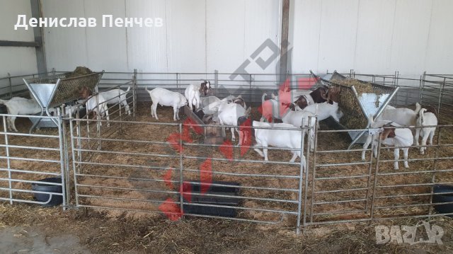 Хранилки/ясли за овце, снимка 3 - За селскостопански - 34655250