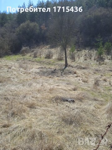 Продава УПИ, снимка 2 - Парцели - 40298019