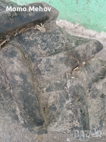 Гуми рибена кост 15 цола 2 бр, снимка 2 - Гуми и джанти - 53463333