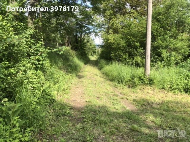 Вила до Драгоман (на 40 км от София), снимка 12 - Вили - 44133264