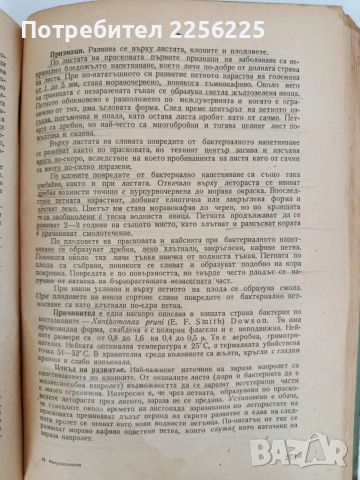 Фитопатология 1964г, снимка 8 - Специализирана литература - 52790203