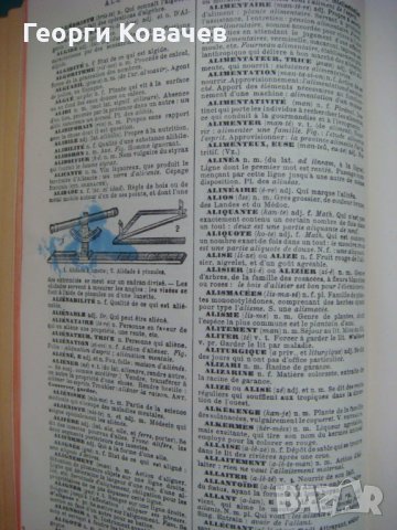  Енциклопедичен речник Larousse, снимка 11 - Енциклопедии, справочници - 40447737