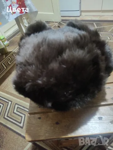 Зимна заешка шапка, снимка 6 - Шапки - 48211237