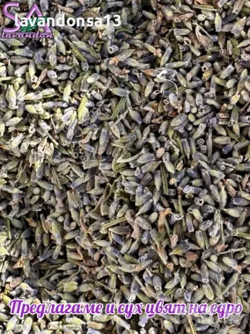 Сух Ронен Цвят Лавандула, снимка 10 - Други стоки за дома - 44264053