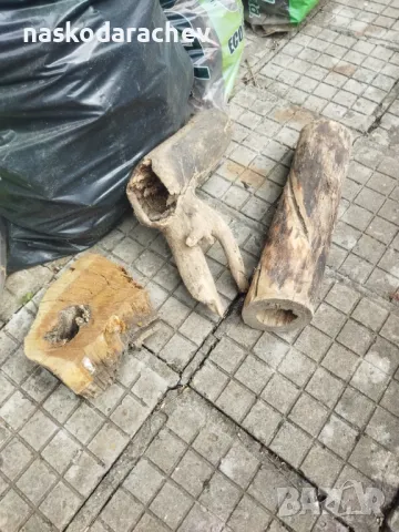 Пън, пънове, дънери с естествени дупки и без - за саксии, кашпи, декорация, снимка 13 - Саксии и кашпи - 27513634