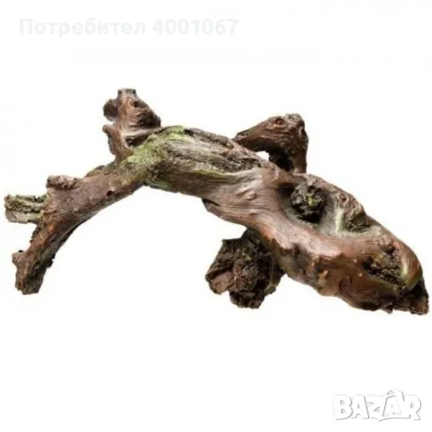 сухо дърво за терариум , снимка 1