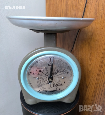 Кантарче домакинско