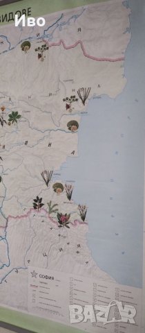 Голяма стенна карта на защитени растения, снимка 5 - Колекции - 41305987