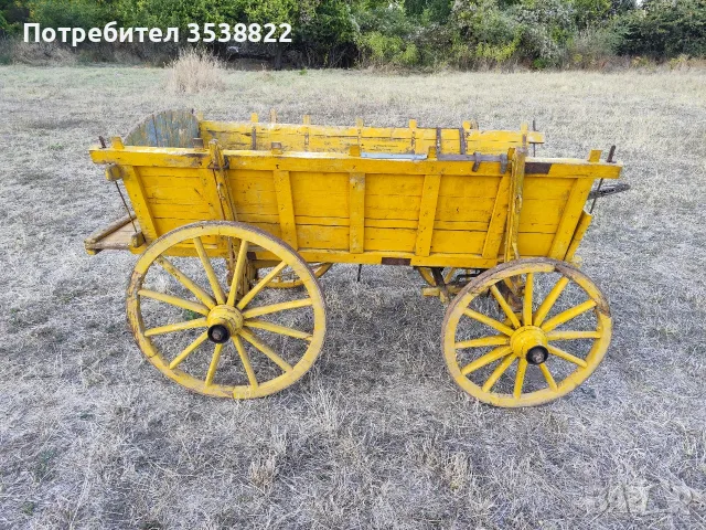 Магарешка каручка , снимка 5 - Други - 56297733