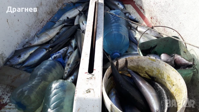 Ветроходна лодка Neptune, снимка 4 - Екипировка - 42983031