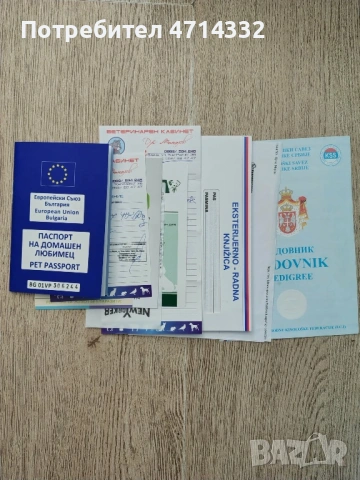 Продавам мъжки и женски кученца, снимка 7 - Дого аржентино - 53163193