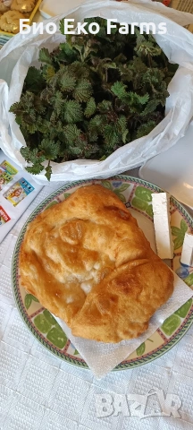 Сирене и кашкавал домашни зрели пасищни , снимка 4 - Домашни продукти - 53763132