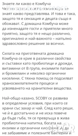 Лечебна гъба камбуча , снимка 3 - Други стоки за дома - 49632746