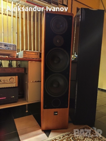 Canton Ergo SC-L (cherry), снимка 3 - Тонколони - 52642387