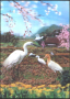 Стерео 3D картичка Пролет Фауна Птици 1978 от Япония, снимка 1 - Филателия - 44685306