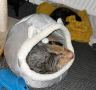 Плюшено легло и къща 2в1 за котки с уши и играчка, Пухкаво за вашата котка или друг домашен любимец, снимка 4
