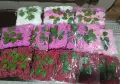 Рози от дунапрен за вашите аранжировки, снимка 2