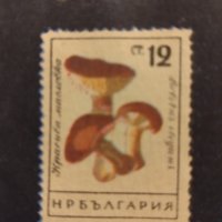 Пощенски марки чисти 16 броя .  , снимка 17 - Филателия - 41535104