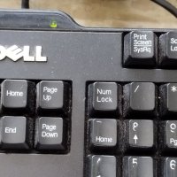 Клавиатура DELL SK-8115 и Dell KB212-B 2бр с кирилица , снимка 3 - Клавиатури и мишки - 41573599
