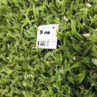 Изкуствена трева пано 60х40см модели, снимка 8 - Пана - 22904178