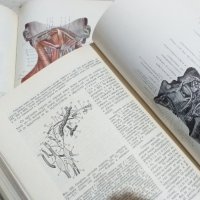 Анатомия на човека - Атлас на Карданов, комплект, снимка 1 - Специализирана литература - 42222037