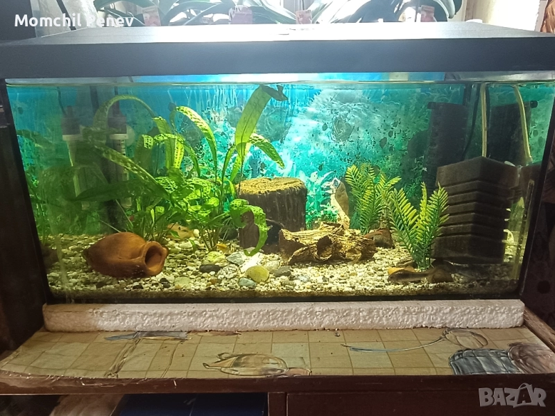 Аквариум , снимка 1