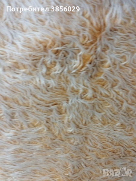 губер или халище от соца, снимка 1