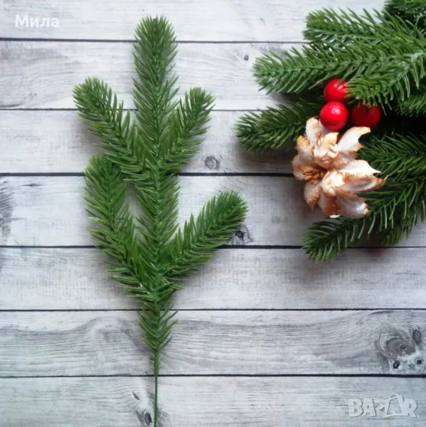 Клонка борче 25 см, снимка 1