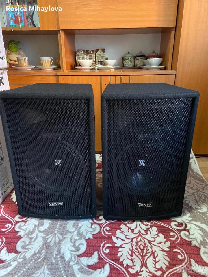 Тонколони VONYX 10 инчови 500 Watta, снимка 1